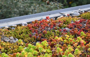 the cost of Crantock green roof installation
