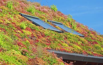 Crantock living roof systems