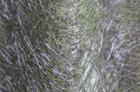 Crantock fibreglass roof work